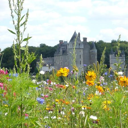 ホテルLa Grande Tortue Candé-sur-Beuvron エクステリア 写真