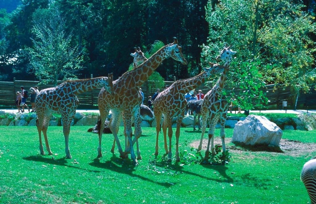 ホテルLa Grande Tortue Candé-sur-Beuvron エクステリア 写真